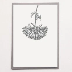 Affiche Sérigraphie A4 - Plusieurs Dessins - En Papier Certifié FSC -Clothing Discounts Store 2615b5 85a7ff6798d746cf988588bdcdd6c1c2 mv2