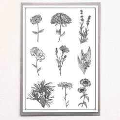 Affiche Sérigraphie A4 - Plusieurs Dessins - En Papier Certifié FSC -Clothing Discounts Store 2615b5 8765dcbbaeb54a71945a20646de8bb8f mv2