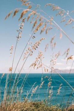 Photo Carla Imprimé à Bordeaux Sur Bois Certifié Prêt à Accrocher 20x30 Cm Ou 30x45 Cm