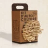 Kit Auto Culture Champignons 1 Kit Auto Culture Champignons -Clothing Discounts Store Home Growing Kit Resetea 600x600 1