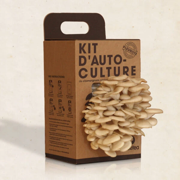Kit Auto Culture Champignons 3 Kit Auto Culture Champignons