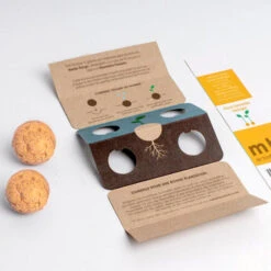 Bombe Biodiversité Resetea 20 Bombe Biodiversité Resetea -Clothing Discounts Store Naranjas 5 600x600 1