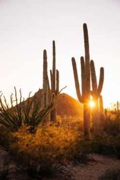 Photo Arizona Imprimée En France Encadrée Sur Du Papier En Chanvre A4