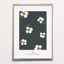 Affiche Sérigraphie A4 - Plusieurs Dessins - En Papier Certifié FSC -Clothing Discounts Store affiche serigraphie a4 inde