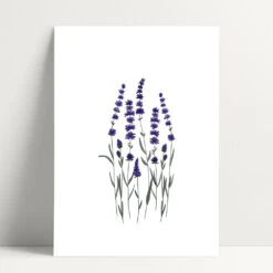 Affiche Sérigraphie A5 - Plusieurs Dessins - En Papier Certifié FSC