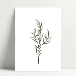 Affiche Sérigraphie A5 - Plusieurs Dessins - En Papier Certifié FSC 14 Affiche Sérigraphie A5 - Plusieurs Dessins - En Papier Certifié FSC -Clothing Discounts Store affiche serigraphie dessin pivoine A5 jpg