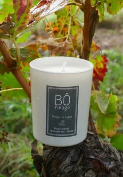 Bougie Neige De Vigne - 160g - Huile Végétale - Fabriqué En France