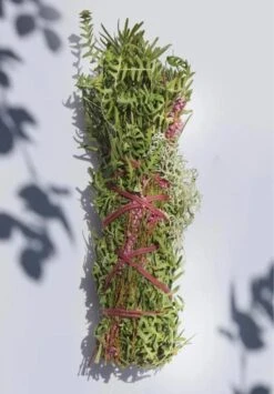 Bouquet De Fumigation TOTEM -Clothing Discounts Store bouquet de fumigation herisson1