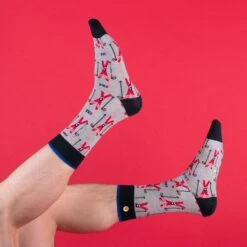 Cabaïa Chaussettes Originales Homme MAXIME & RAPHAEL - Couleur Grise - En Coton Bio