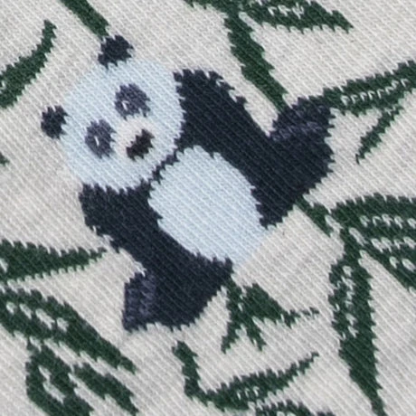 Cabaïa Chaussettes Originales Homme ANIS & SARA- En Coton Bio 4 Cabaïa Chaussettes Originales Homme ANIS & SARA- En Coton Bio - Image 2