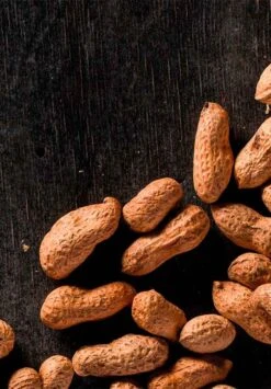 Kit De Plantation Resetea -Clothing Discounts Store kit auto culture cacahuete