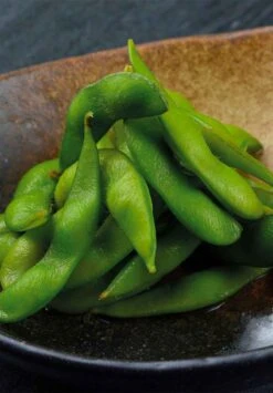 Kit De Plantation Resetea -Clothing Discounts Store kit auto culture edamame