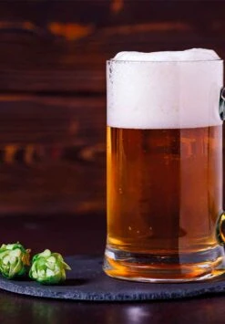 Kit De Plantation Resetea -Clothing Discounts Store kit auto culture houblon