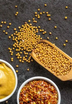 Kit De Plantation Resetea -Clothing Discounts Store kit auto culture moutarde