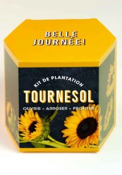 Kit De Plantation Resetea -Clothing Discounts Store kit auto culture tournesol1