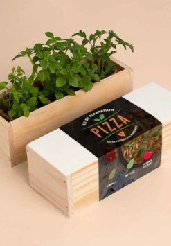 Mini Potager Resetea -Clothing Discounts Store mini potager resetea1