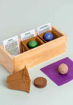 Mini Potager Resetea -Clothing Discounts Store mini potager resetea4