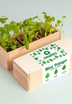 Mini Potager Resetea -Clothing Discounts Store mini potager resetea5