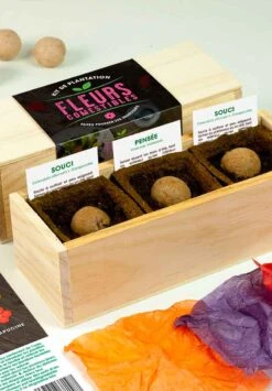 Mini Potager Resetea -Clothing Discounts Store mini potager resetea6