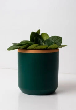 Pot De Fleur Resetea -Clothing Discounts Store pot de fleur resetea1