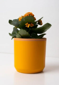 Pot De Fleur Resetea -Clothing Discounts Store pot de fleur resetea2