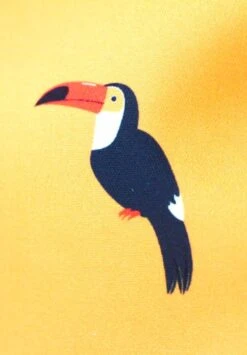 Short De Bain LE PLUMÉ - En Polyester Recyclé -Clothing Discounts Store short de bain1 20bc197e ecfb 4f1e 8255 8b97c25aff95